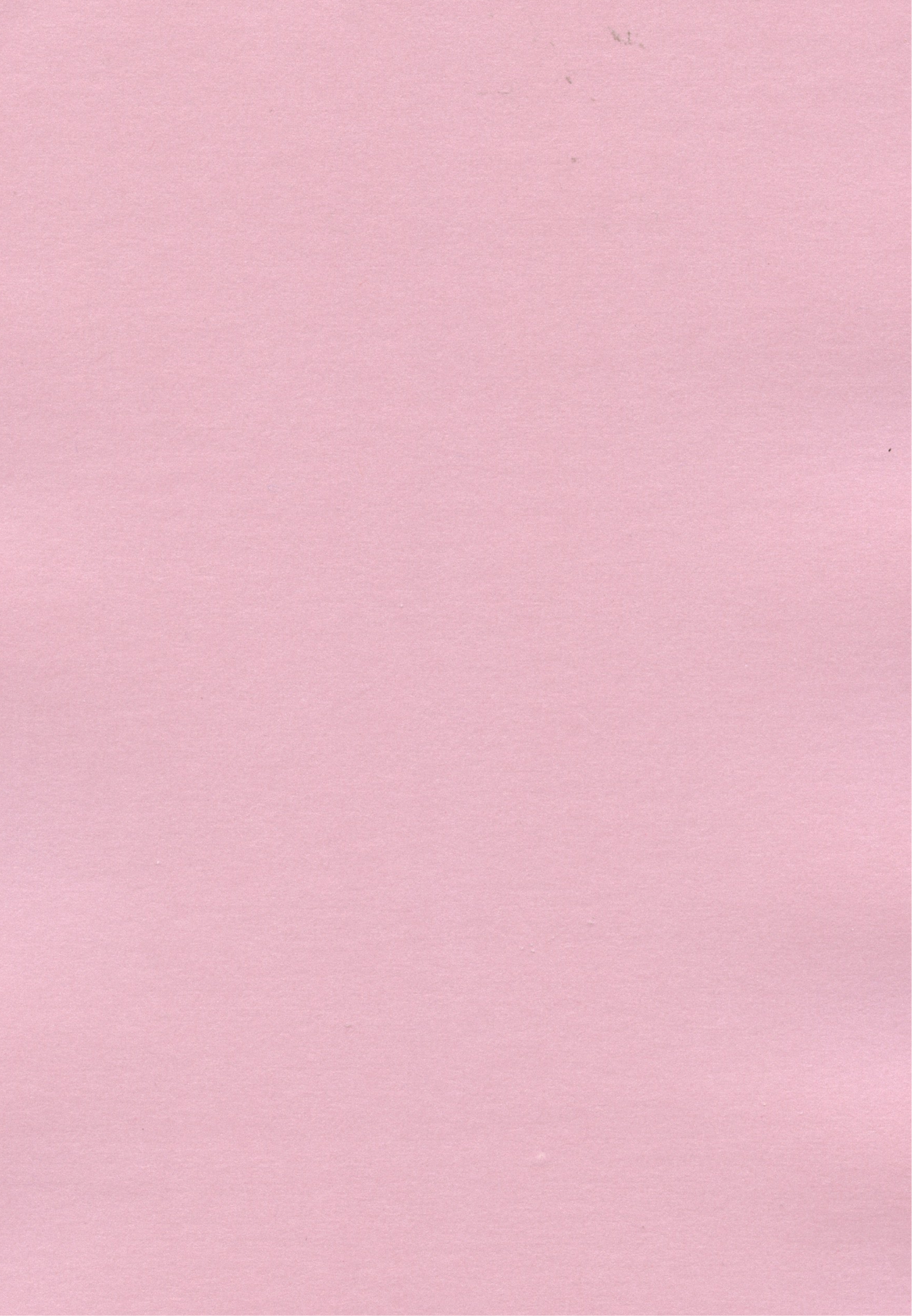 Specialty Paper - A4 Pearl Paper - Pink - 2 Sheets