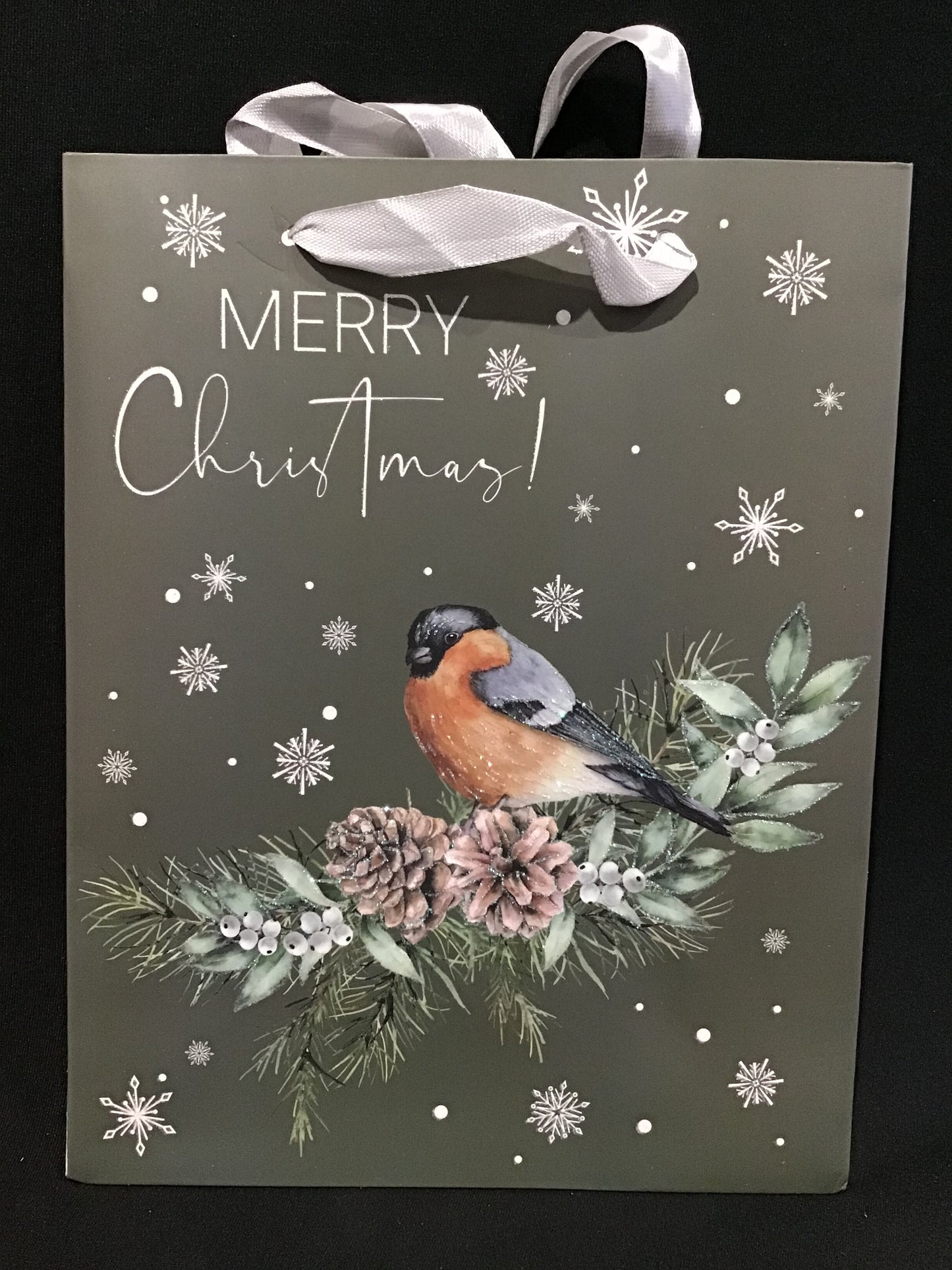 Christmas Gift Bag - Merry Christmas - Bird with Pine cones - 23x18x8cm
