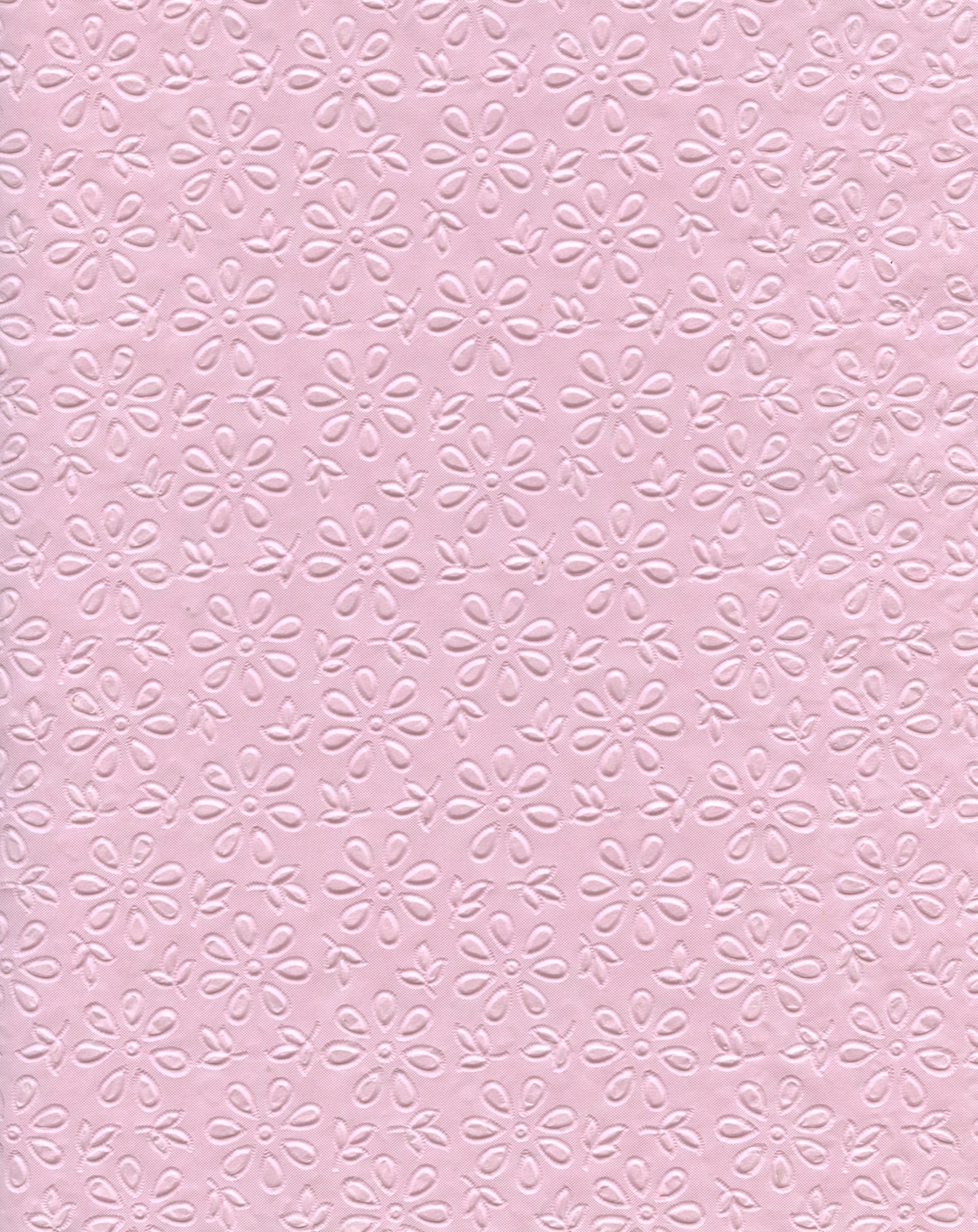 Specialty Paper 1 x A4 Embossed Daisy - Pink