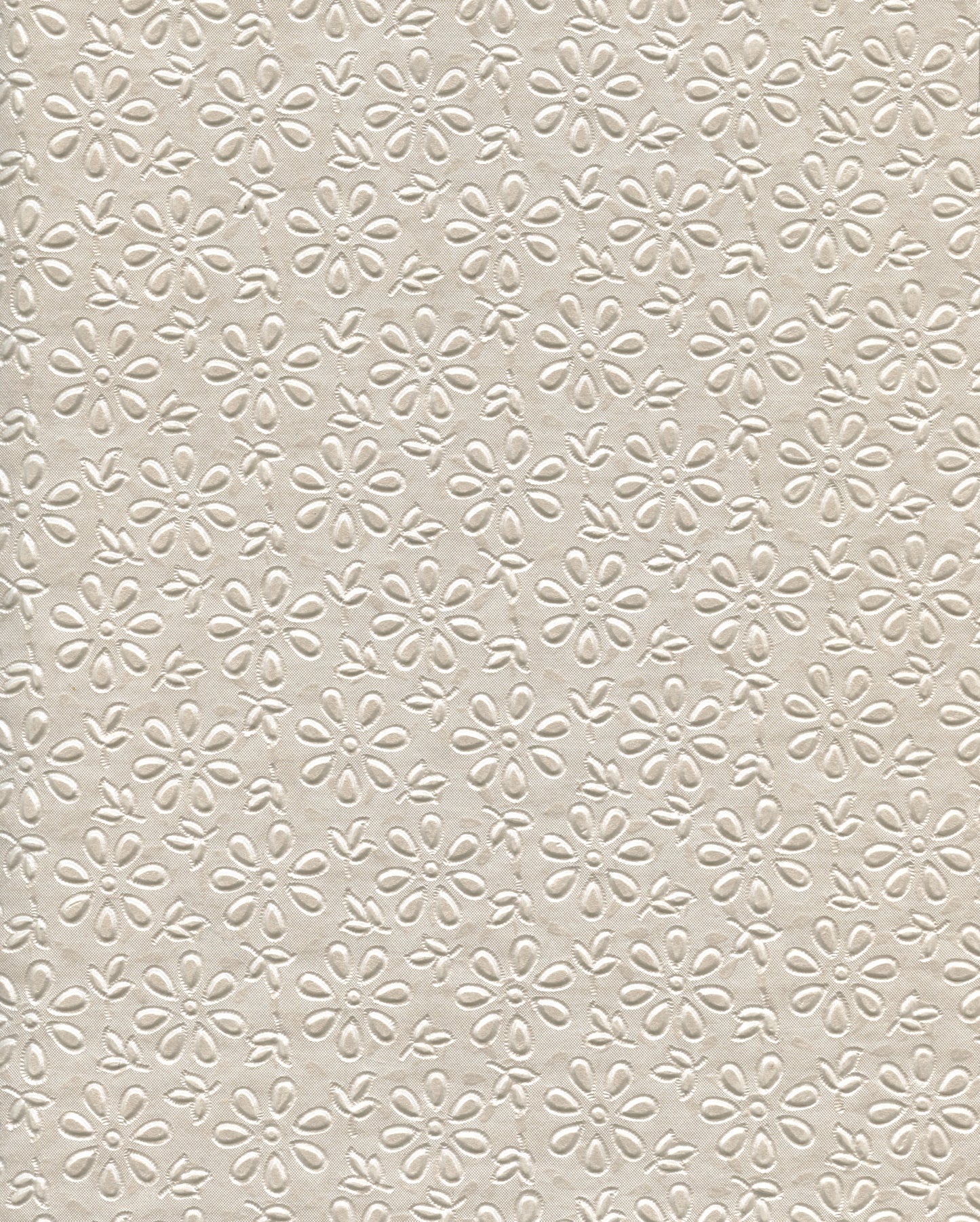 Specialty Paper 1 x A4 Embossed Daisy - Pearl