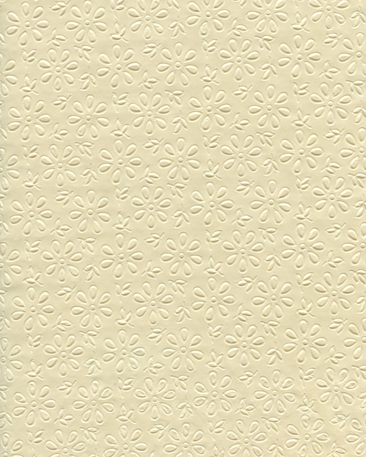 Specialty Paper 1 x A4 Embossed Daisy - Cream