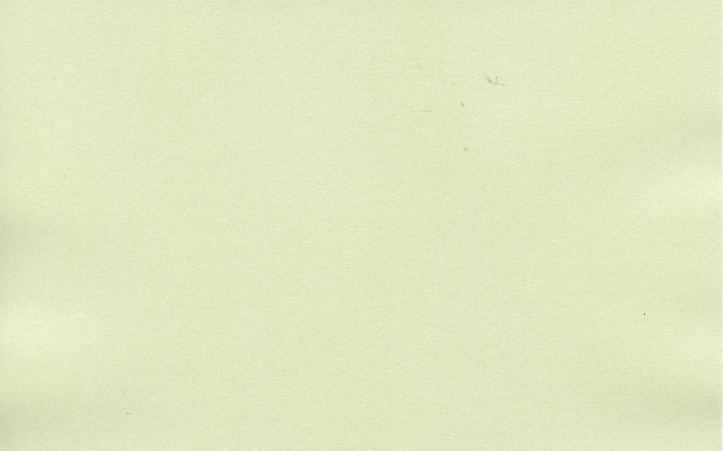 Specialty Card - A4 Pearl Card - Mint - 2 Sheets