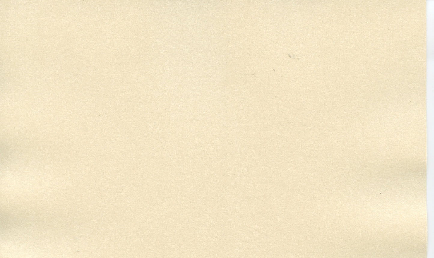 Specialty Paper - A4 Pearl Paper - Cream - 2 Sheets