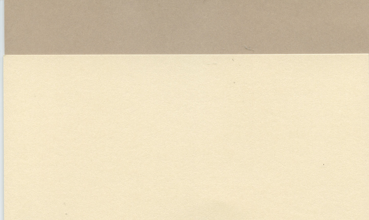 Specialty Paper - A4 Pearl Paper - Bone & Cream - 2 Sheets