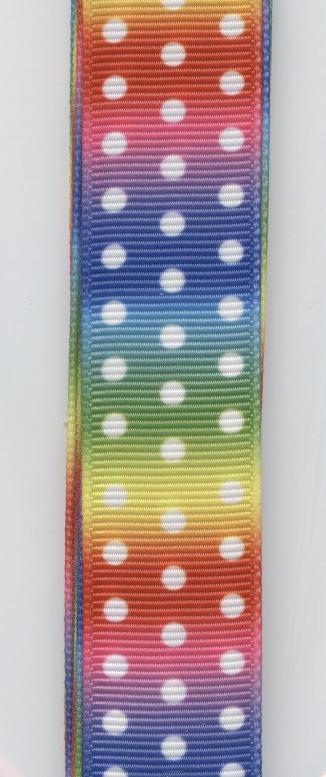 Ribbon - Rainbow with white dots - 22mm x 3m