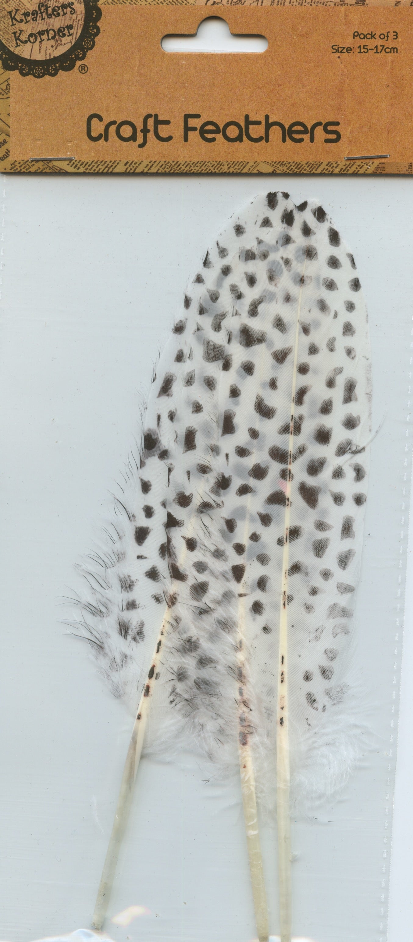 Craft Feathers - Off White with Black Marks - 3 pack