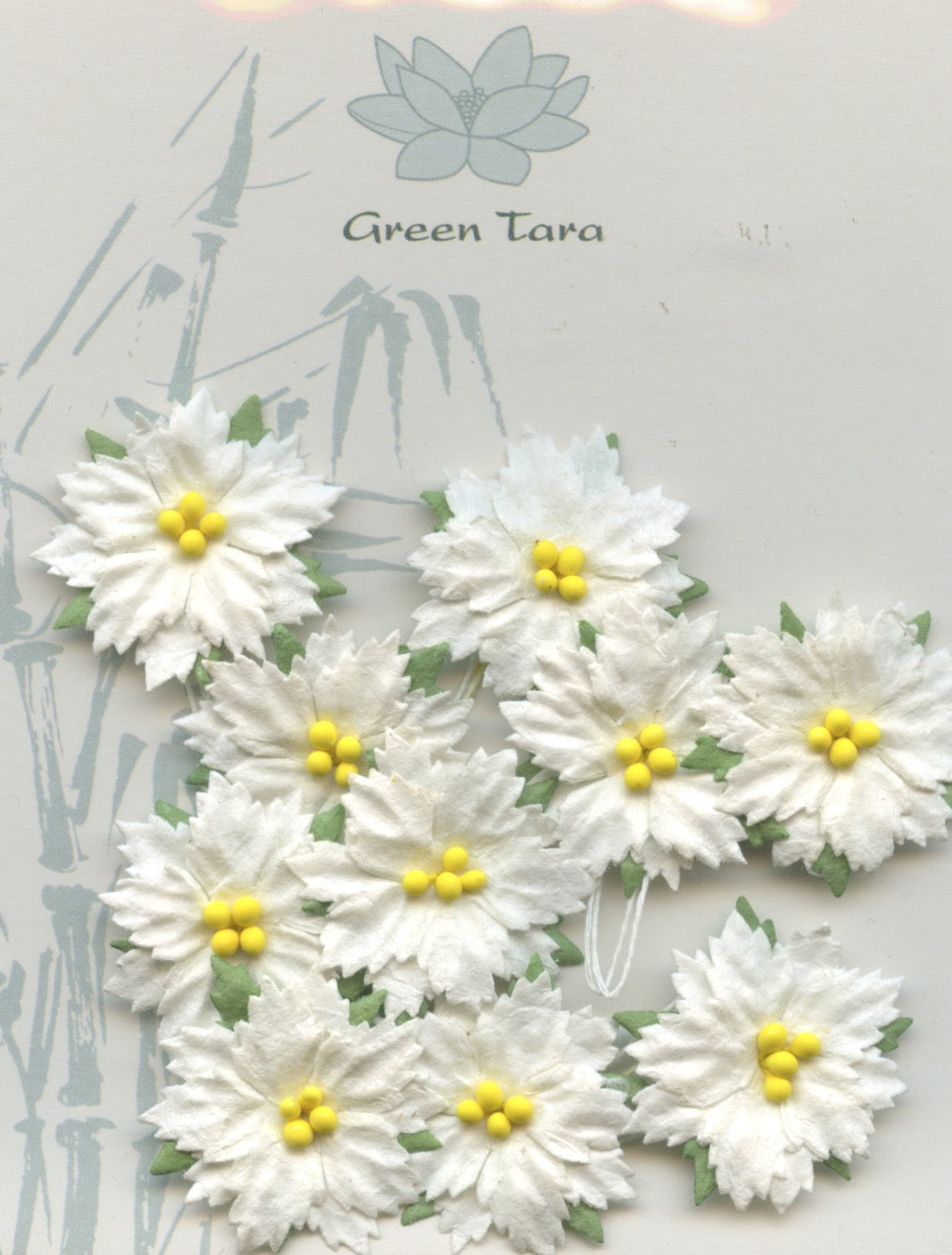 Christmas Poinsettia White with yellow centre - 2.5cm - 10 pack