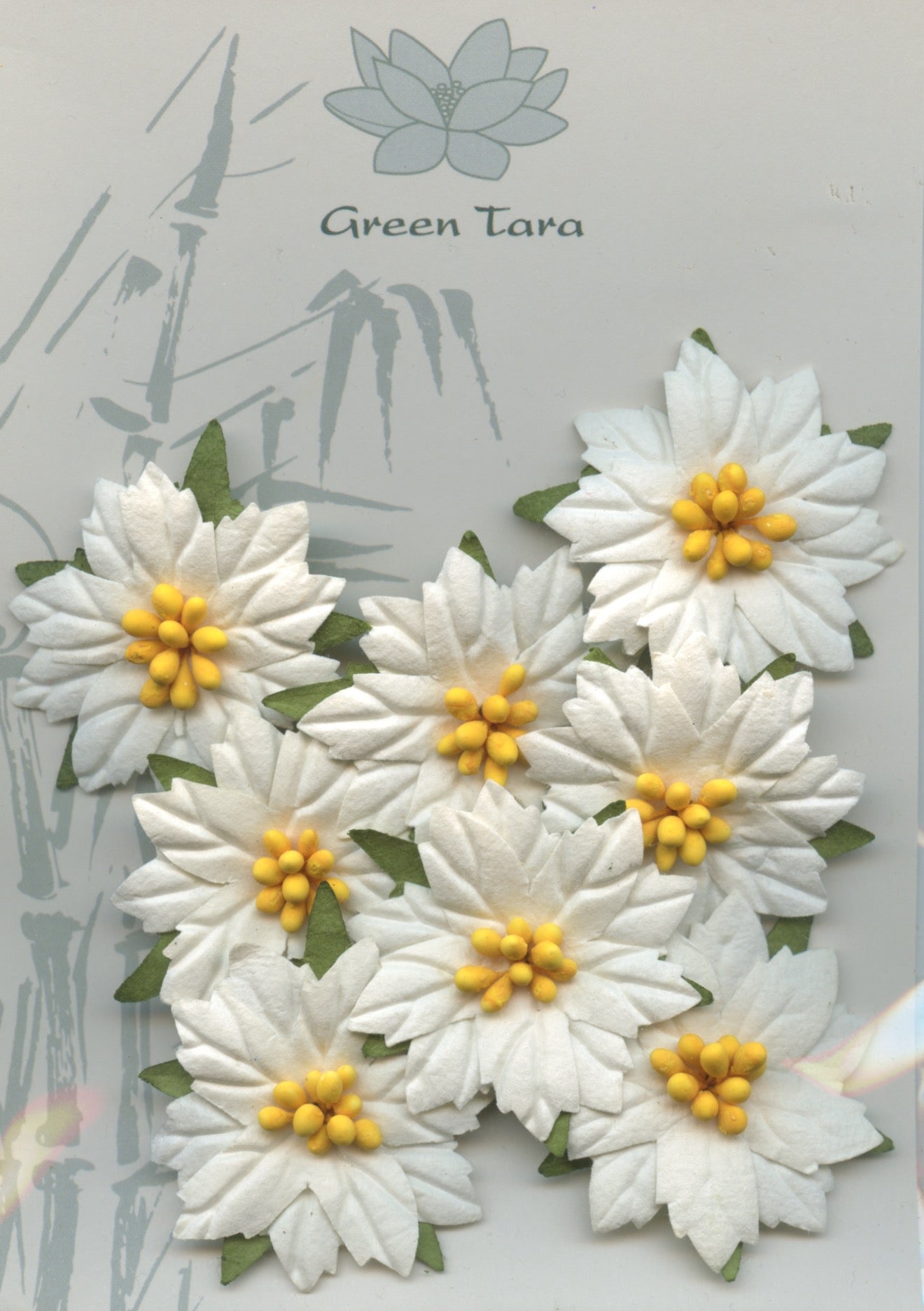 Christmas Poinsettia White with yellow centre - 4cm - 8 pack