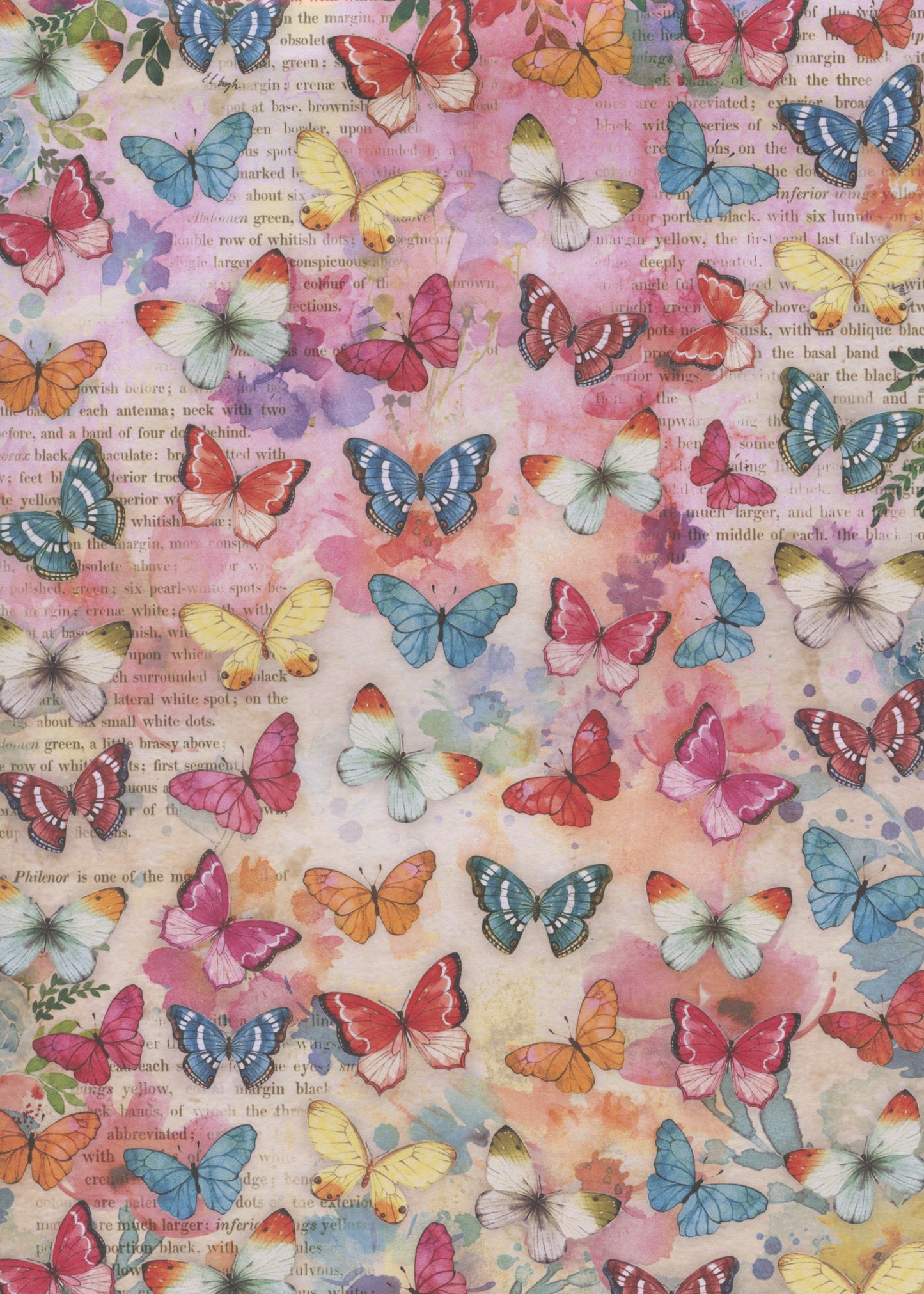 Decoupage Paper - Butterflies - A4 - 2 Sheets