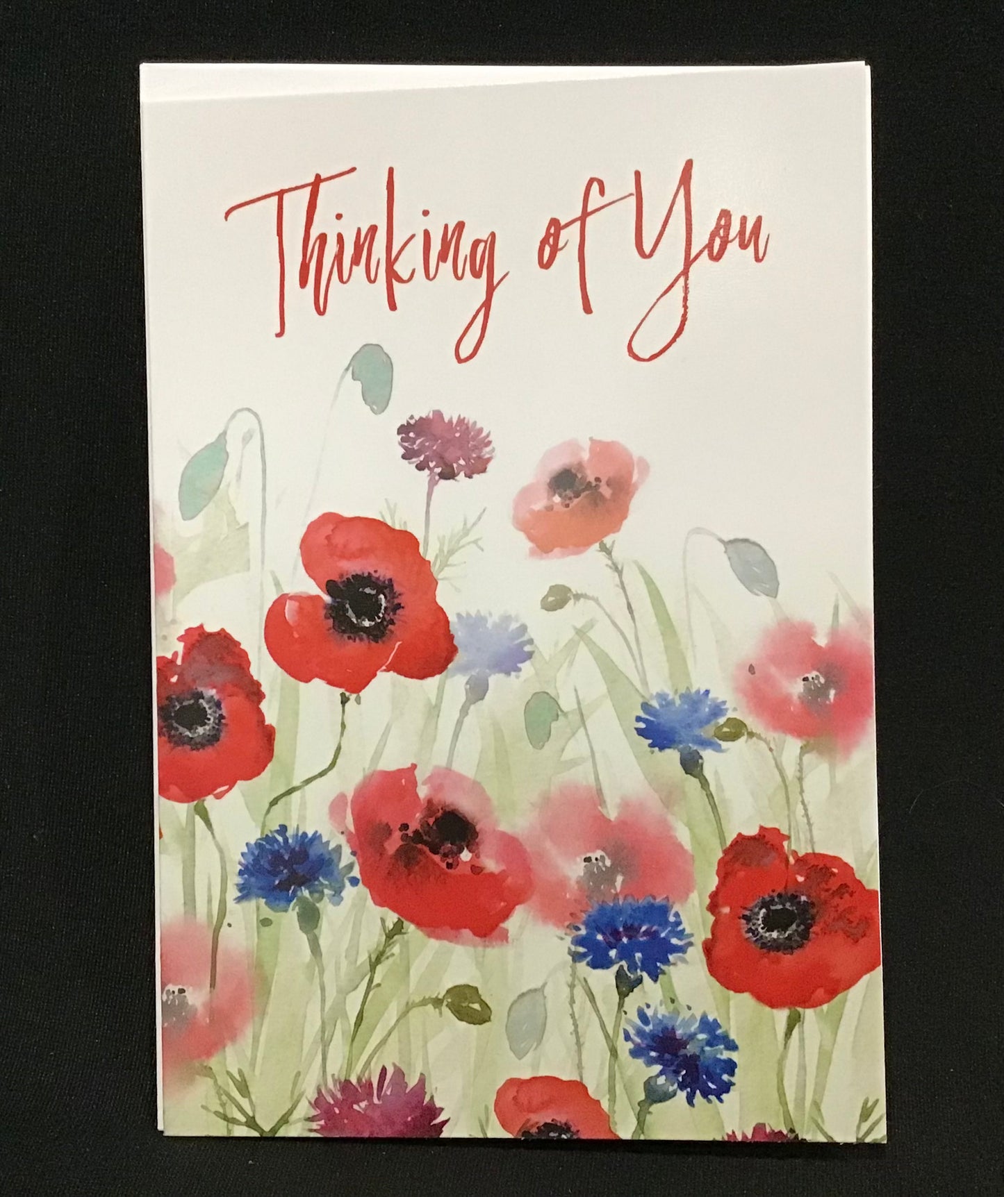 Koala Collection Card - Thinking of You - Poppy Theme