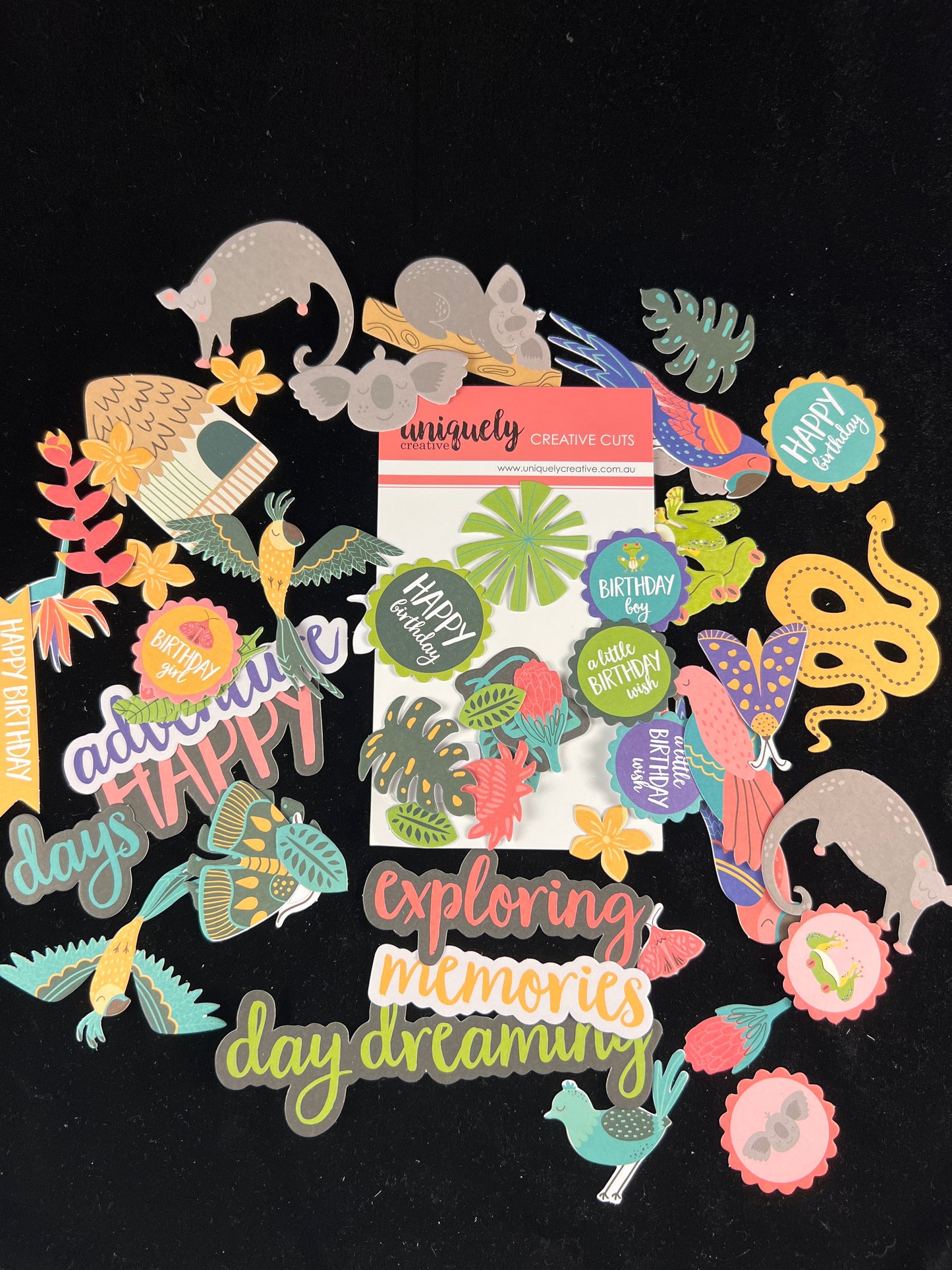 Creative Cut Outs - Rainforest Retreat