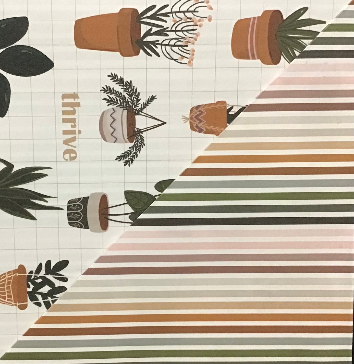Koala Collection Wrap D/S 2x Vintage Stripes/Pot Plants - 69x49cm