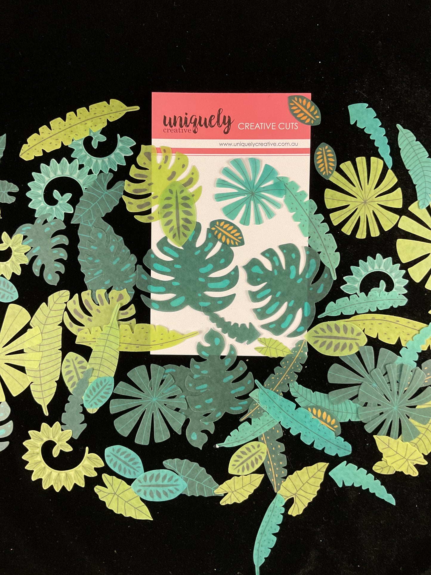 Creative Cut Outs - Vellum - Rainforest Leaves -