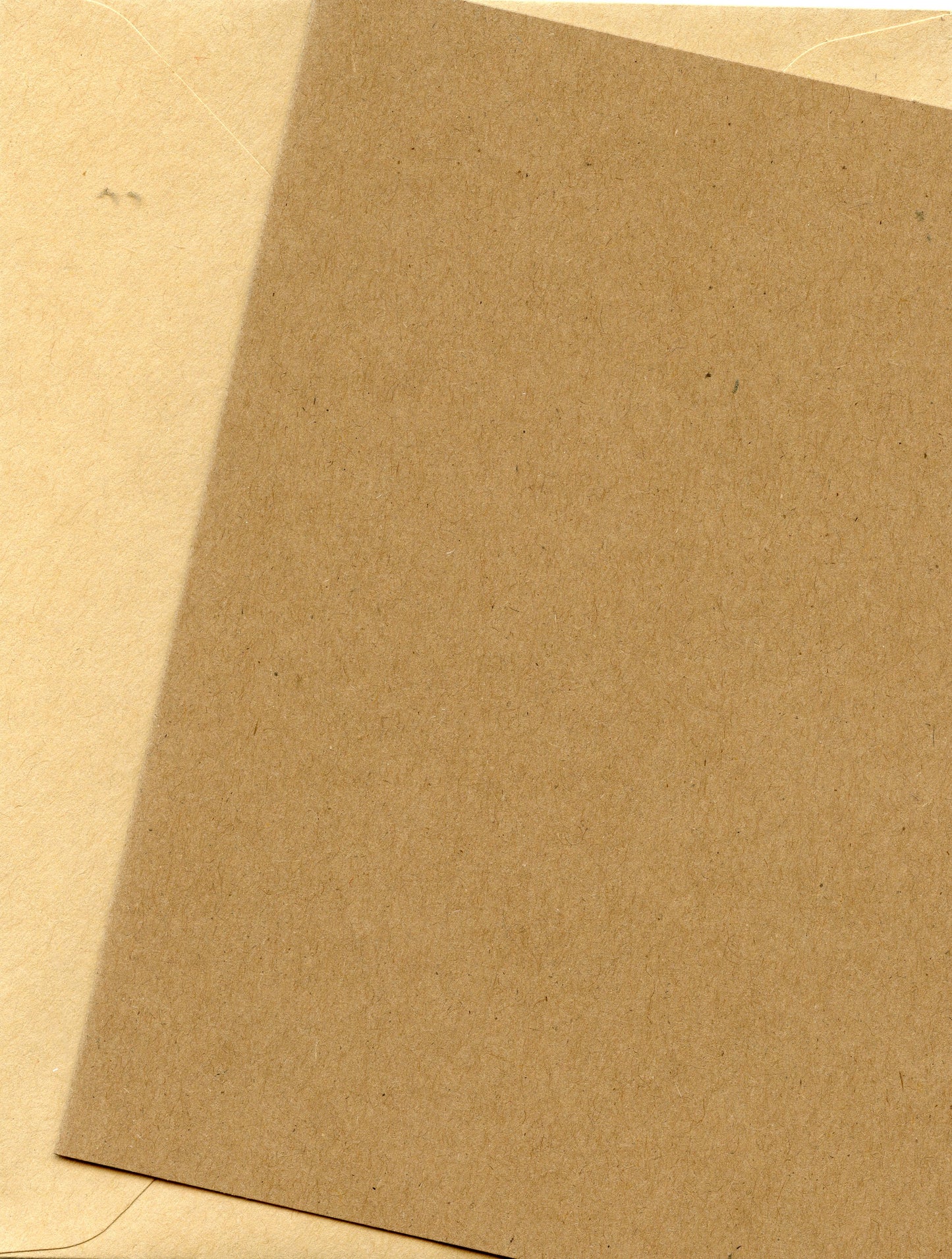 Kraft Card Stock and Kraft Envelopes - 10 sets