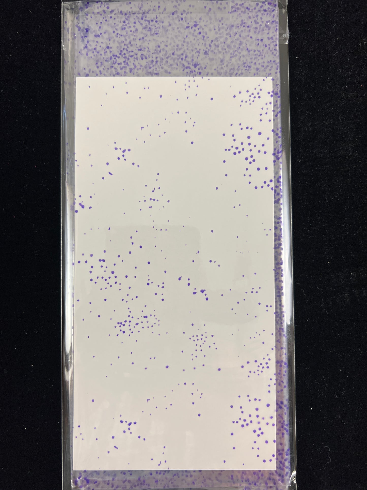 Cellophane - Clear with Mauve dots - 1 sheet - 70cm x 50cm