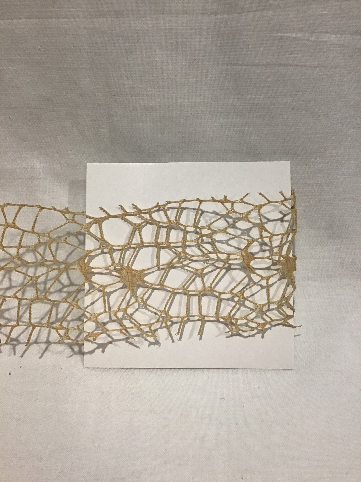 Ribbon Spider Mesh - Natural - 2m x 6cm