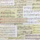Mintay - Music Garden #2 - 1x Double sided sheet - 30.5x30.5cm