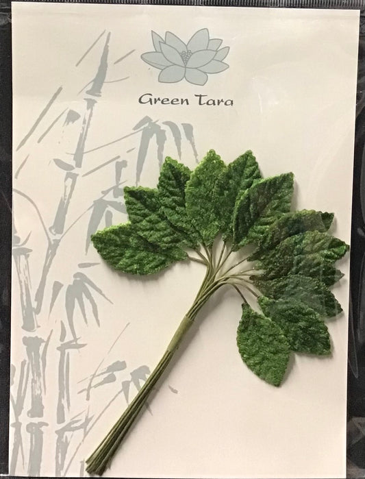 Velvet Leaves - Green - 12pk - 3cm