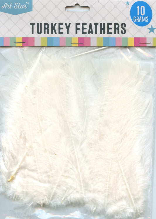 Art Star Turkey Feathers Craft - White 10g