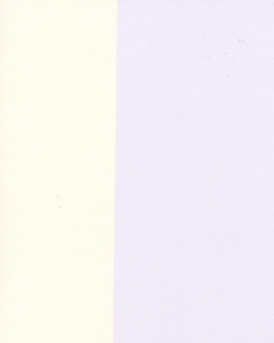 A5 Cream/White Theme Cardstock 220gsm - 20 sheets