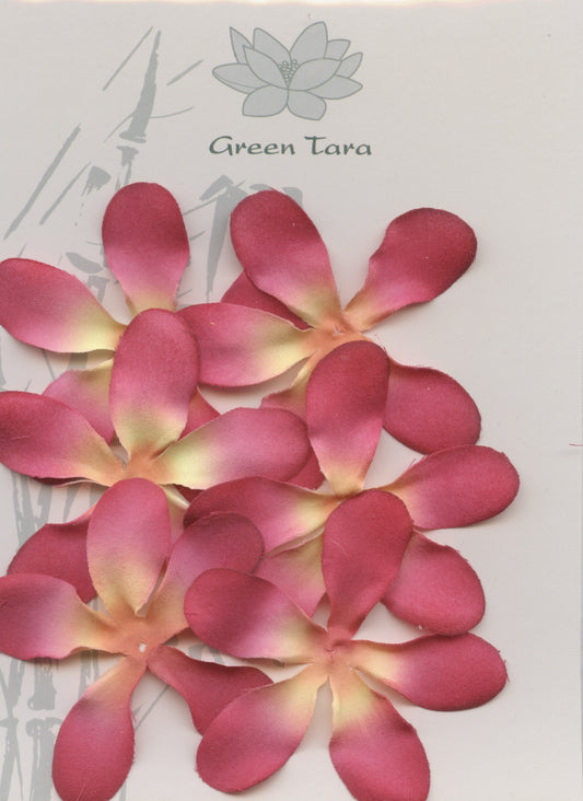 Frangipani Flowers - Fabric 6.5-7cm - Hot Pink - 6pk