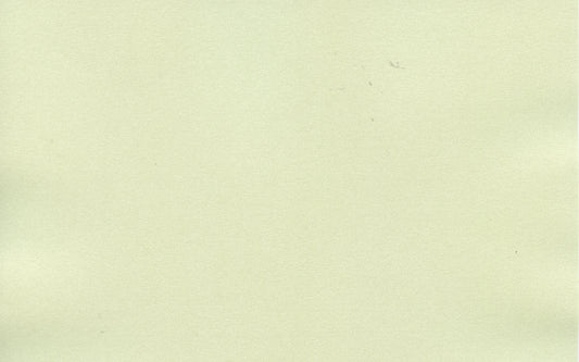 Specialty Card - A4 Pearl Card - Mint - 2 Sheets