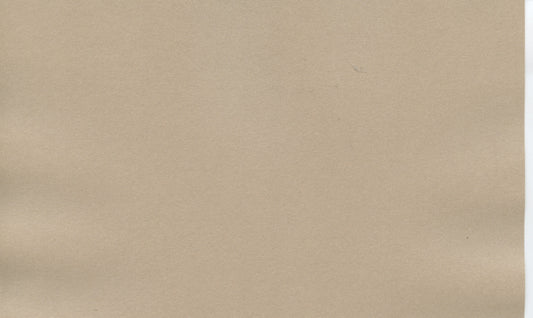 Specialty Paper - A4 Pearl Paper - Bone - 2 Sheets