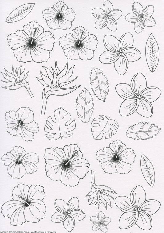 Cut-a-parts Card Toppers - March Tropical Dreams - Watercolour Flowers- 1 sheet