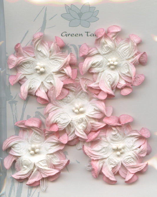 Apple Blossom Flower - Pink /White - 40mm - 5 pk