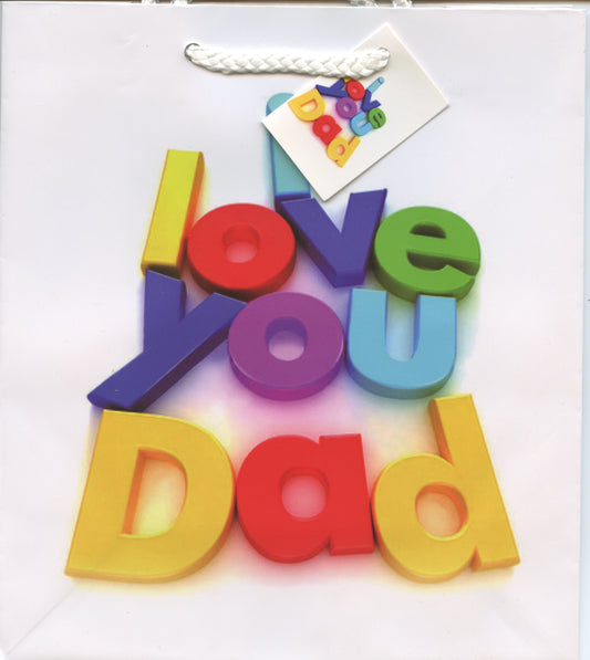 Happy Fathers Day Gift Bag #2 - 21x18.5x8.5cm