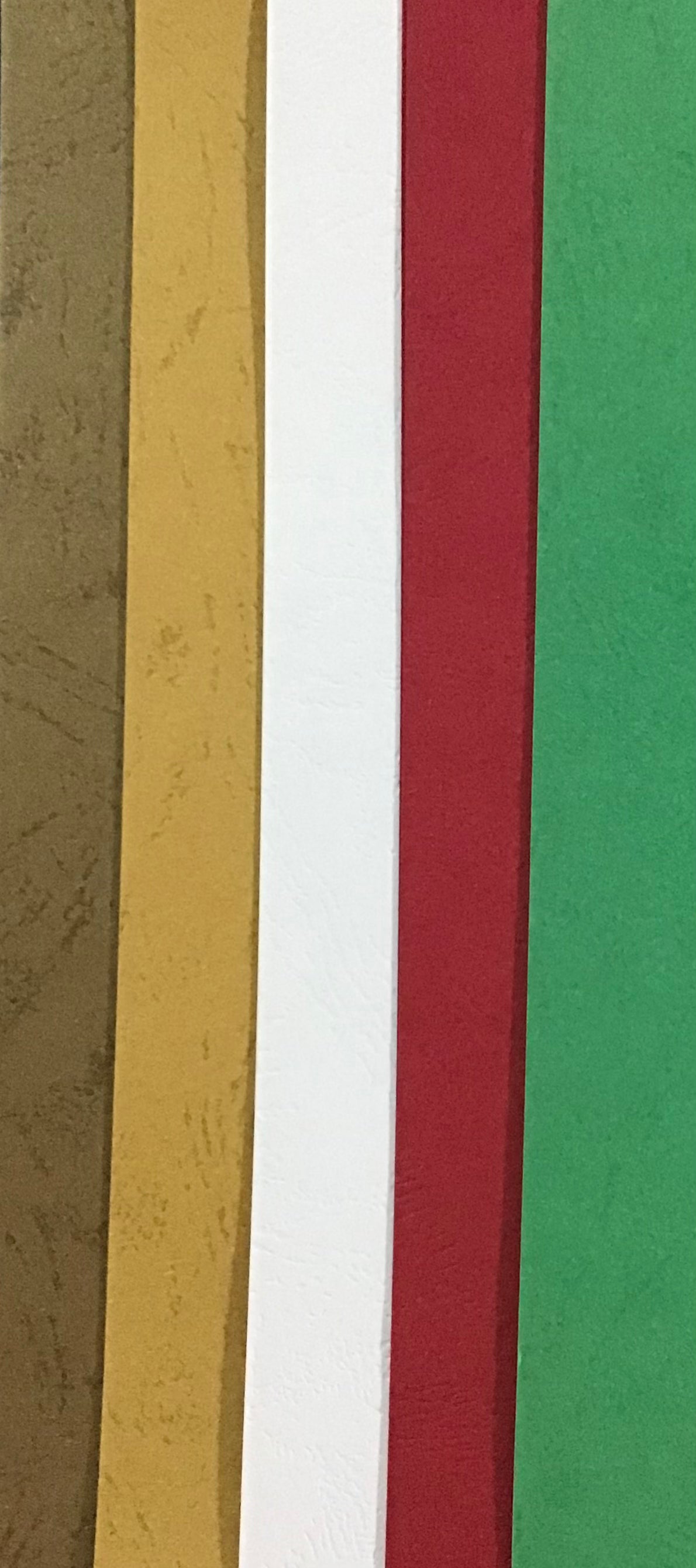 Leather Grain Card - Brown/Caramel/White/Red/Green - 10 pack