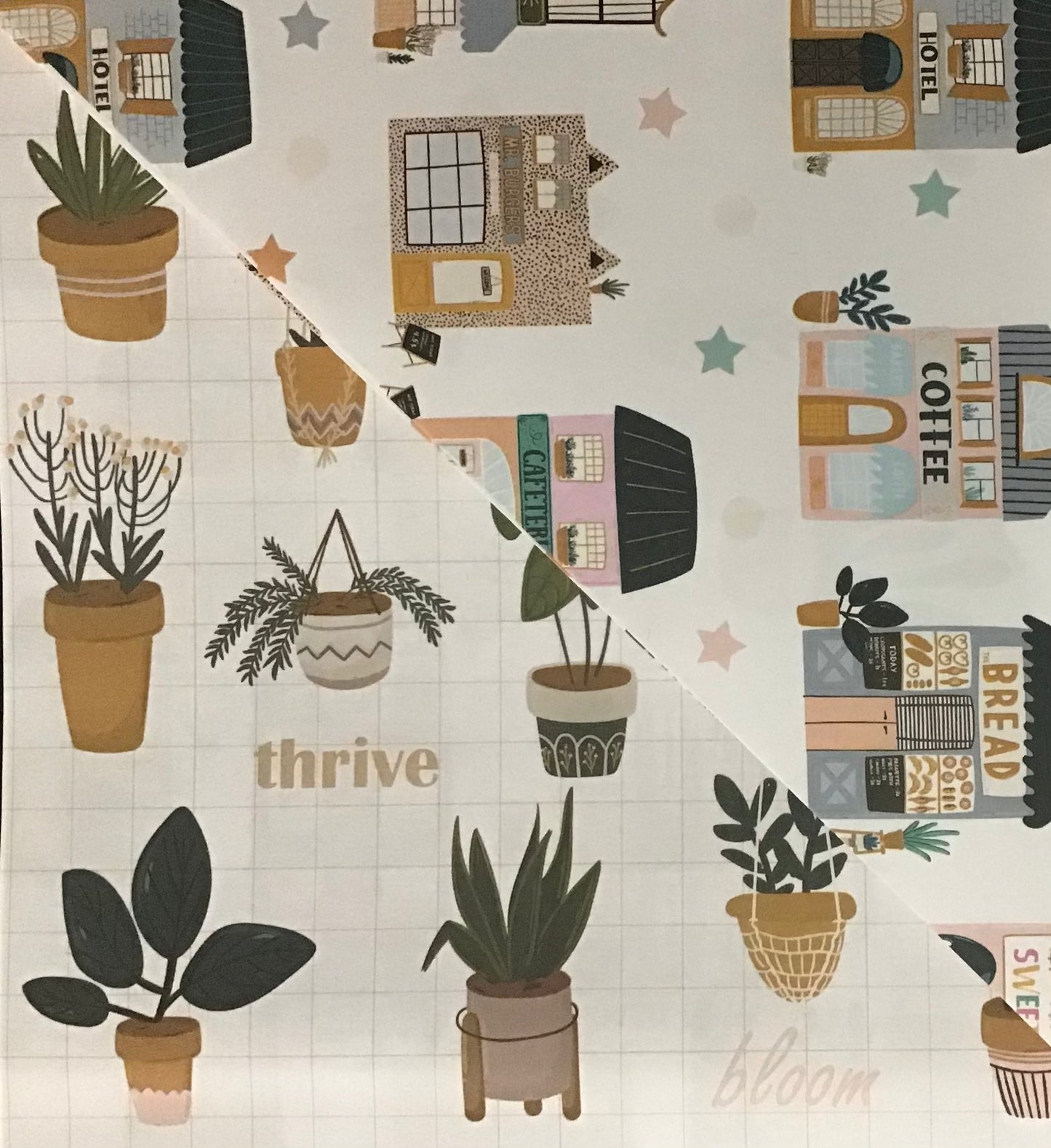 Koala Collection Wrap D/S - 2x Pot Plants/Houses - 69x49cm