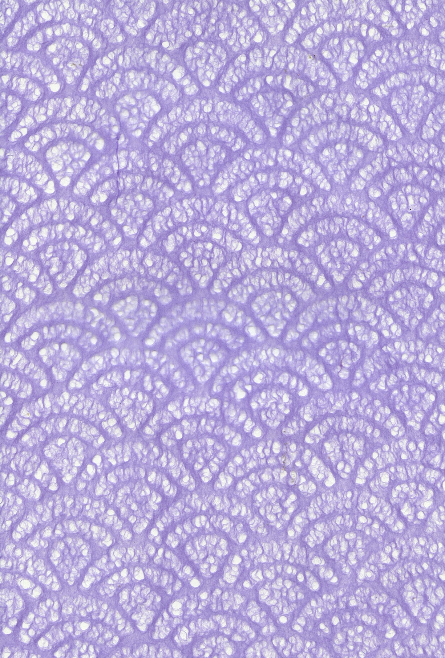 Specialty Paper - A4 Mulberry Lace Shells - Lavender - 1 sheet