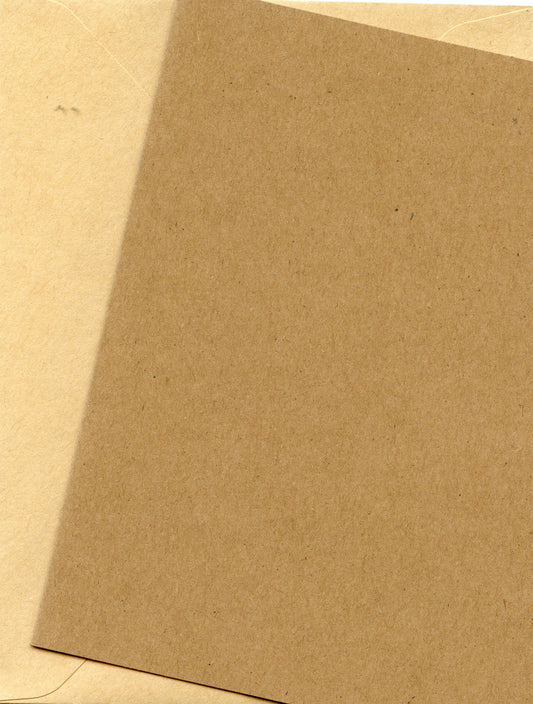 Kraft Card Stock and Kraft Envelopes - 10 sets