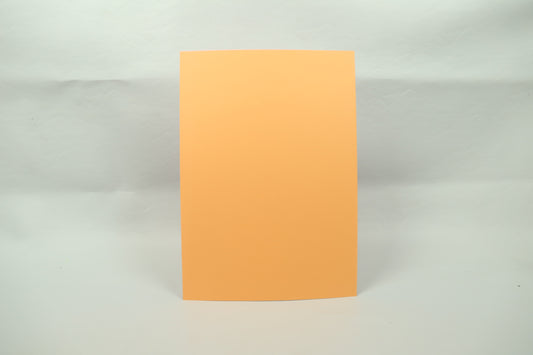 Optix A4 Card Stock 200gsm - Koda Caramel - 2 Sheets