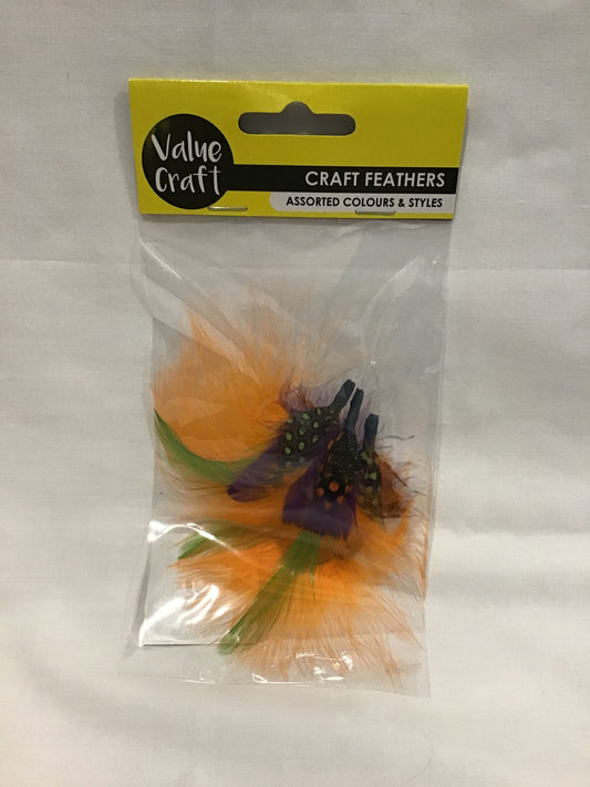 Feathers- Assorted Colours and shapes