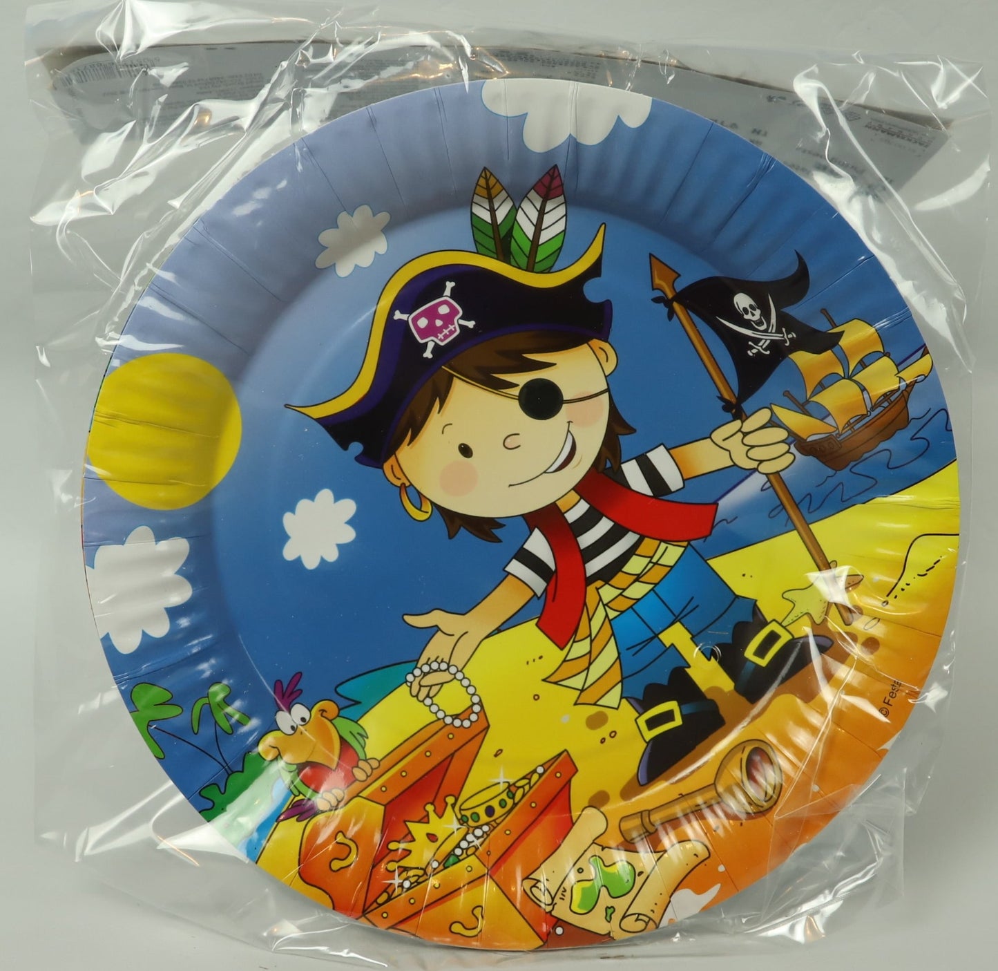 Pirate Theme Paper Plates - 6 pack - 23cm diameter