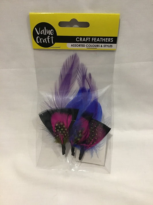 Feathers- Assorted Colours and shapes #2